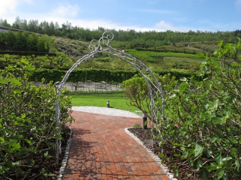 Ironart's flower arch at the Eden Project, Cornwall Ironart's flower arch at the Eden Project, Cornwall